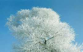 一键故障转移的电话轰炸机在线网页版